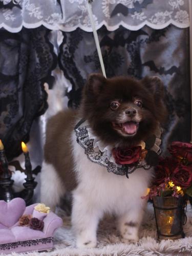 20231027太郎くん